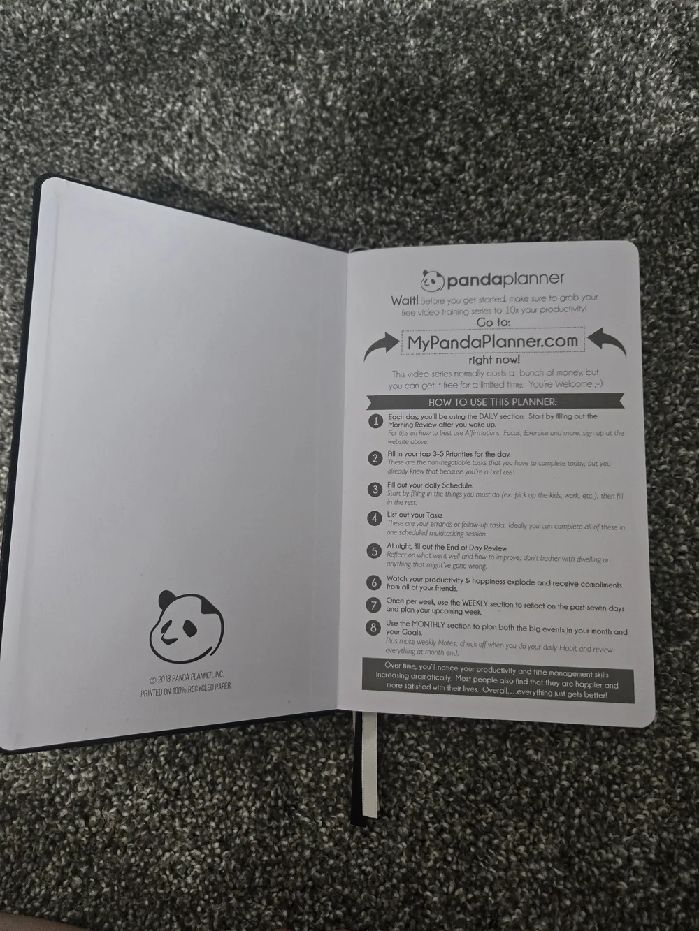 Blank Monthly And Daily Panda Planner Notebook
